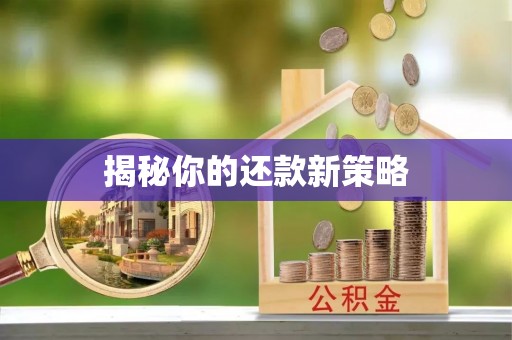 黄冈揭秘你的还款新策略