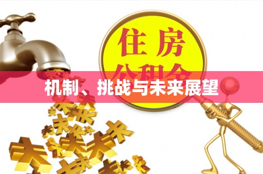 黄冈机制、挑战与未来展望